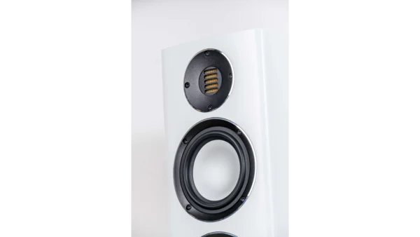 ELAC Carina FS247.4 Floorstanding Speaker - Image 6